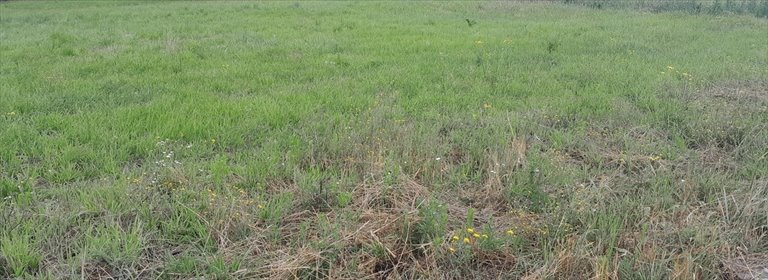 działka na sprzedaż 989m2 działka Rzeszów, Dębicka