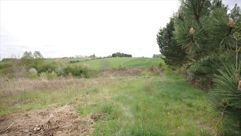 działka na sprzedaż 9622m2 działka Jakubowice Konińskie