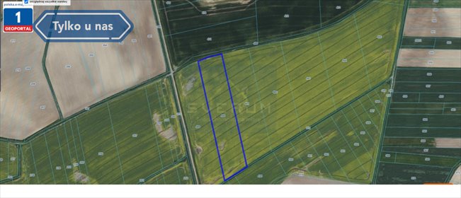 działka na sprzedaż 44100m2 działka Kopaniny