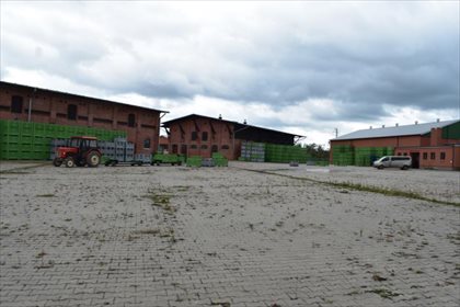 lokal użytkowy na sprzedaż 55590m2 lokal użytkowy Wysoka