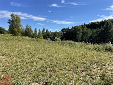 Działka 21,5 a w Michałowicach z widokiem na las działka Michałowice