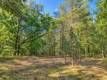 działka na sprzedaż 5278m2 działka Owczarnia
