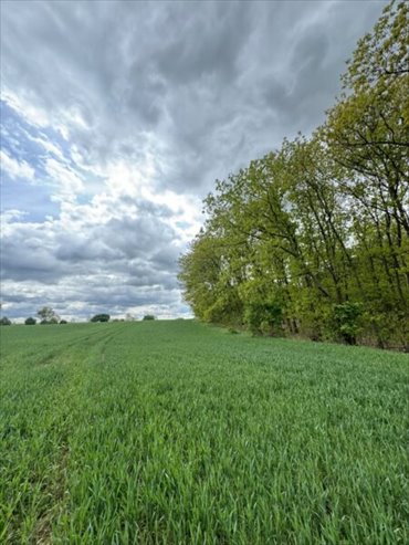 działka na sprzedaż 1460m2 działka Lichnowy