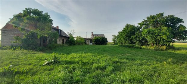Działka siedliskowa na sprzedaż Barczew 5 900m2 Foto 1