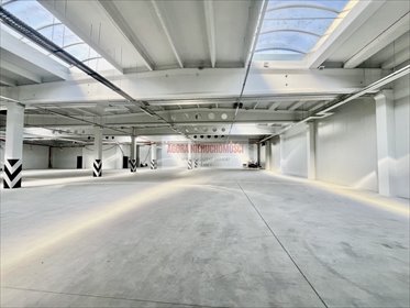 magazyn na wynajem 1194m2 magazyn Kraków, Rybitwy, Rybitwy