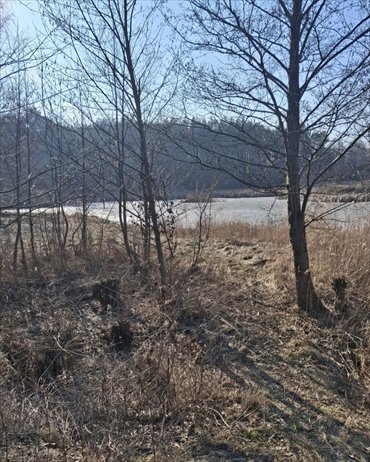 Lokal użytkowy na sprzedaż Tartak 52 600m2 Foto 5