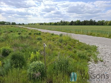 działka na sprzedaż 800m2 działka Karolino