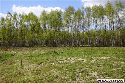 działka na sprzedaż 944m2 działka Łysiec