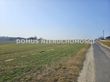Działka 3000 m2 w Tworzyjankach - cisza i przyroda. działka Tworzyjanki