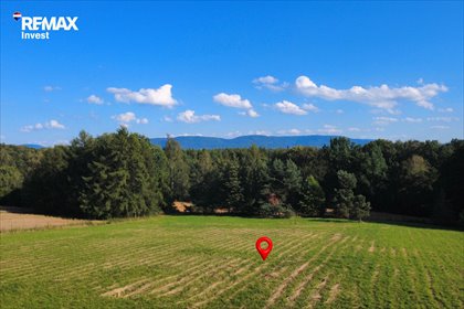 Zapraszam do zakupu działki 6605 m² z widokiem na góry działka Bestwina, Krakowska