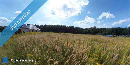 Malownicza działka 3450 m² pod lasem, media w drodze - zapraszam działka Twardogóra