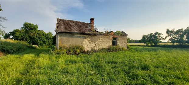 Działka siedliskowa na sprzedaż Barczew 5 900m2 Foto 4