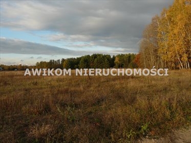 Do sprzedania działka 1073 m² w Puszczy Mariańskiej działka Puszcza Mariańska