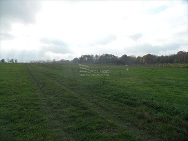 Działka rolna na sprzedaż Mikołów, Kąty, Kąty 3 260m2 Foto 3