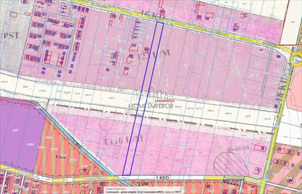 Działka 5621 m² pod usługi i zabudowę polecam! działka Lesznowola, Poprzeczna