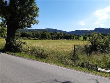 działka na sprzedaż 5877m2 działka Kowary, Kamiennogórska