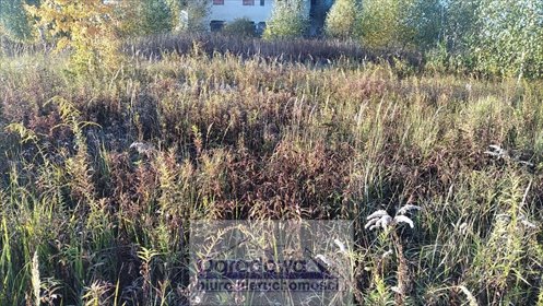 działka na sprzedaż 950m2 działka Falenty