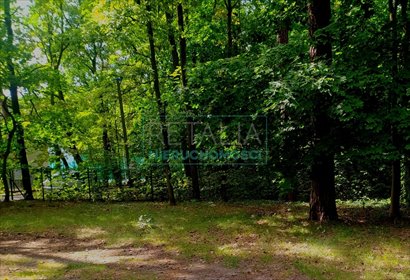 działka na sprzedaż 2100m2 działka Podkowa Leśna