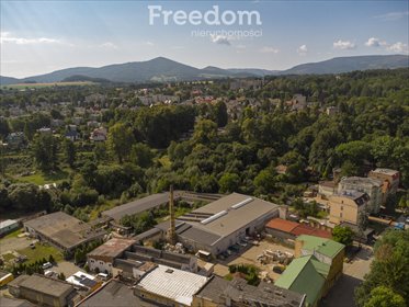 lokal użytkowy na sprzedaż 346m2 lokal użytkowy Głuchołazy, al. Jana Pawła II