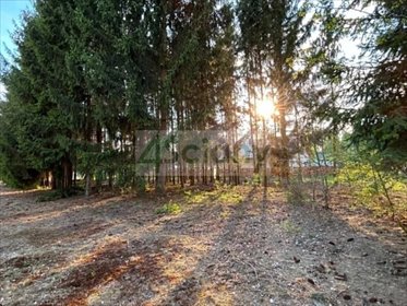 Działka 1575 m² z mediami w Radoniach - polecam działka Radonie