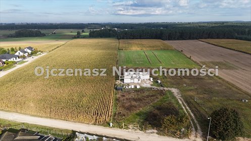 działka na sprzedaż 1000m2 działka Kruszyn