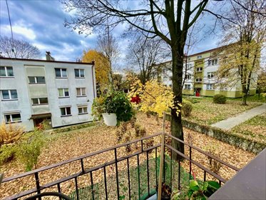 mieszkanie na sprzedaż 63m2 mieszkanie Katowice, Koszutka, Brzozowa