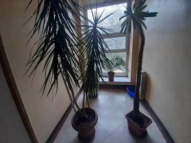 Przestronne 31 m2 z dużym balkonem, umeblowane, blisko Rynku mieszkanie Wrocław, Szczepin, Szczepin, Zielonogórska