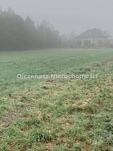 Działka rolna 2950 m² z mediami w Sicienku - ogrodzona działka Sicienko