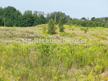 Działka inwestycyjna na sprzedaż Barczewo, Barczewo 39 554m2 Foto 3
