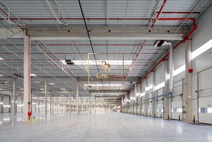 Nowoczesny magazyn 3000 m² w Mszczonowie, dostępny od ręki magazyn Mszczonów, Tarczyńska