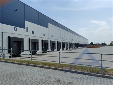 Magazyn 4000 m² w Błoniu (z dokami i biurem) magazyn Błonie