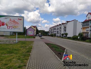 Lokal użytkowy na sprzedaż Łęknica 2 766m2 Foto 3