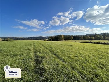 działka na sprzedaż 2000m2 działka Janowice Wielkie