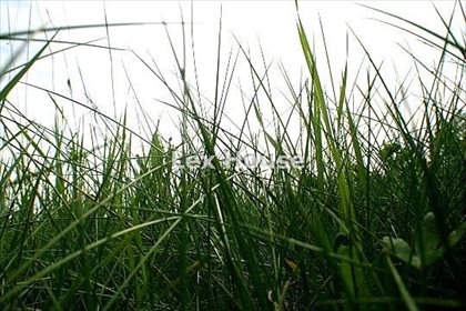 działka na sprzedaż 1940m2 działka Szczecin, Mierzyn