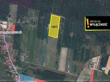 działka na sprzedaż 20000m2 działka Jasień