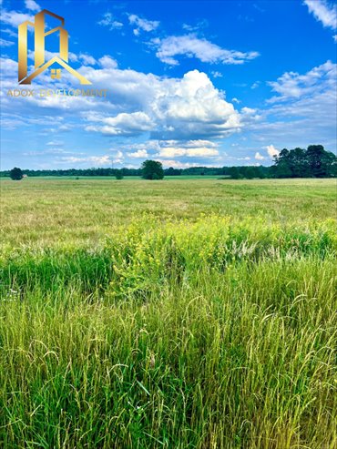 działka na sprzedaż 15000m2 działka Kotorydz