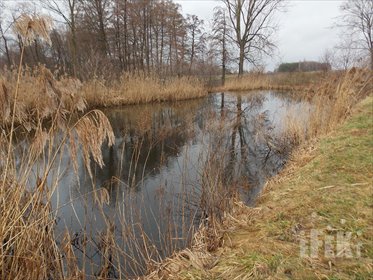 działka na sprzedaż 5272m2 działka Stary Łajszczew