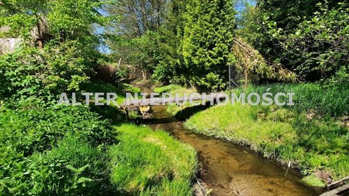 Działka inna na sprzedaż Białystok, Pieczurki 4 014m2 Foto 2