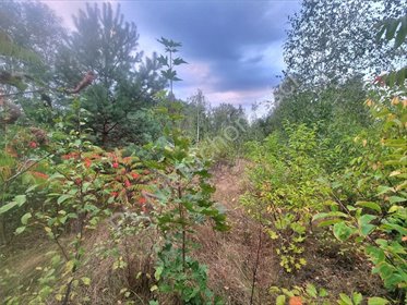 działka na sprzedaż 2287m2 działka Owczarnia