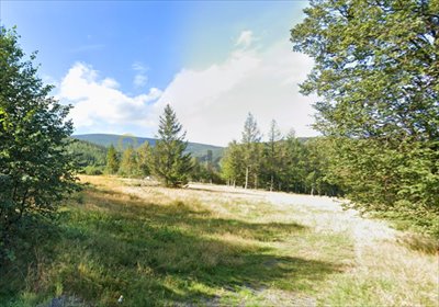 działka na sprzedaż 5316m2 działka Świeradów-Zdrój