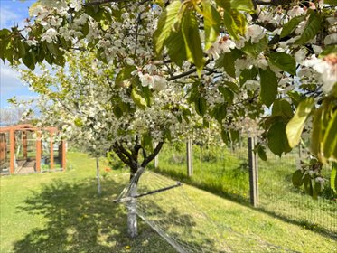 Klimatyczny segment z ogrodem, garażem i solarami mieszkanie Jarosławki