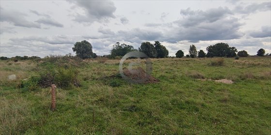 Działka budowlana 1964 m² w Jeżykach (spokojna okolica) działka Jeżyki