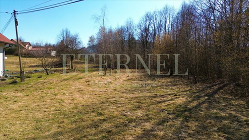 działka na sprzedaż 1500m2 działka Stara Wieś