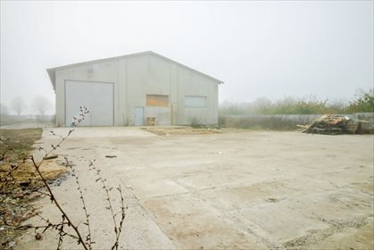 Lokal użytkowy na sprzedaż Nowy Gołębin 1 100m2 Foto 3