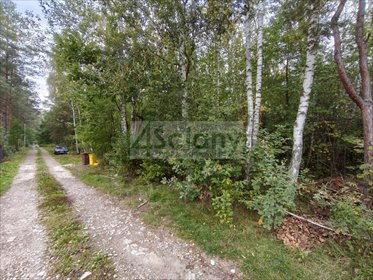 Działka leśno-budowlana 9031 m² w Wycinkach Osowskich działka Wycinki Osowskie