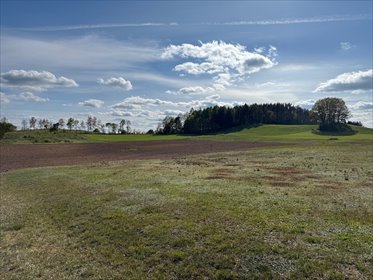 działka na sprzedaż 1149m2 działka Borzestowo