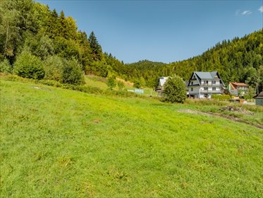 Do sprzedania działka 6161 m² z widokiem na Pieniny działka Grywałd