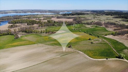 działka na sprzedaż 97500m2 działka Strzelniki