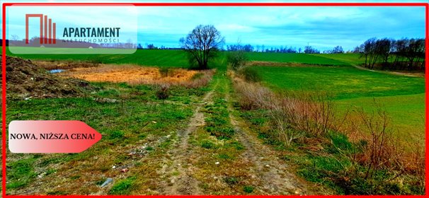 działka na sprzedaż 32530m2 działka Rgielsko