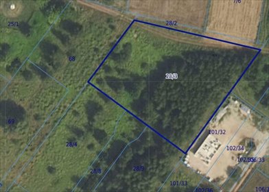 Do sprzedania działka 2750 m² w Feliksowie blisko Kampinoskiego NP działka Feliksów, Zajęcza